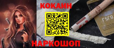 спиды Кингисепп