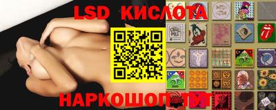 крисы Кимры