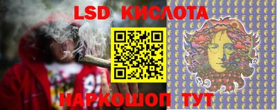 спиды Кингисепп
