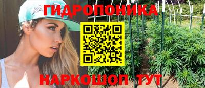 спиды Кингисепп