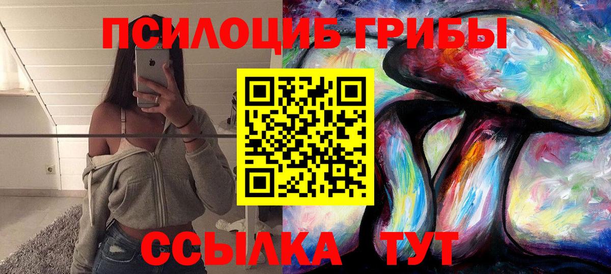 магазин    Вход с VPN  Шебекино  Псилоцибиновые грибы Psilocybine cubensis  Псилоцибиновые грибы мицелий 